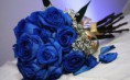 /album/fotogaleria-novedades/a420597-200537176714499-102112429890308-272714-889415038-n-jpg1/